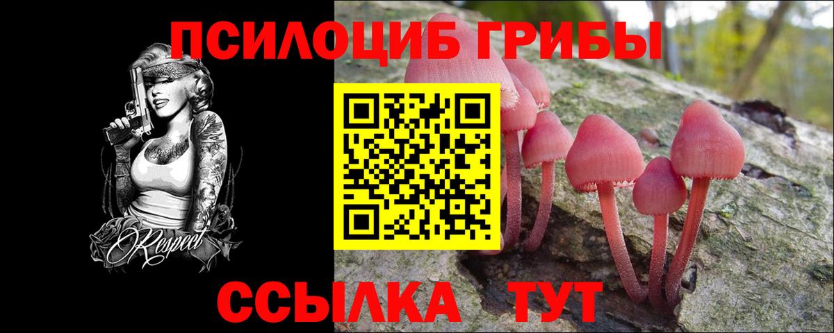 Псилоцибиновые грибы MAGIC MUSHROOMS  Псилоцибиновые грибы MAGIC MUSHROOMS  Миллерово  Вход с VPN 